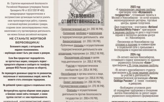 Уголовная ответственность за поддержку идеологии терроризма